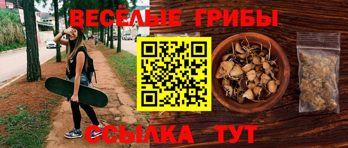 Галлюциногенные грибы прущие грибы Сердобск