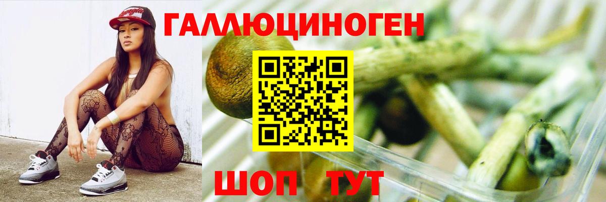 Сердобск  Псилоцибиновые грибы ЛСД  Вход с VPN 